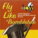 Fly Like A Bumblebee the book